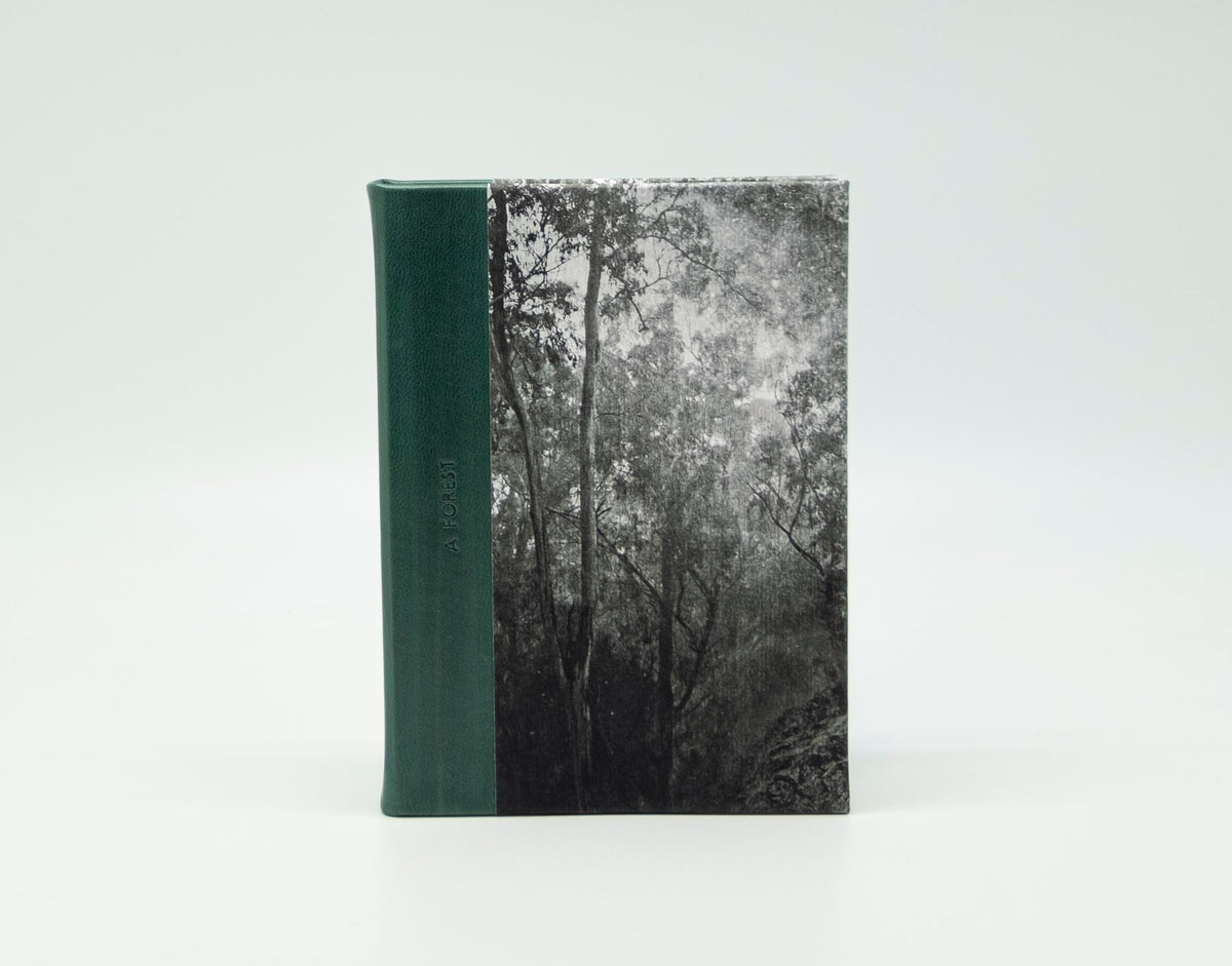 CADERNO SONORO