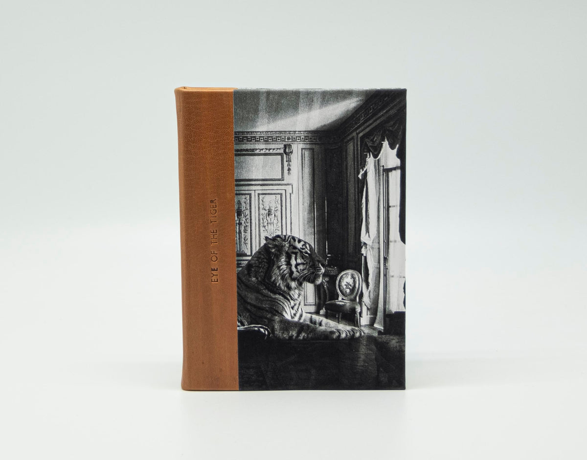 CADERNO SONORO