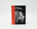 CADERNO SONORO