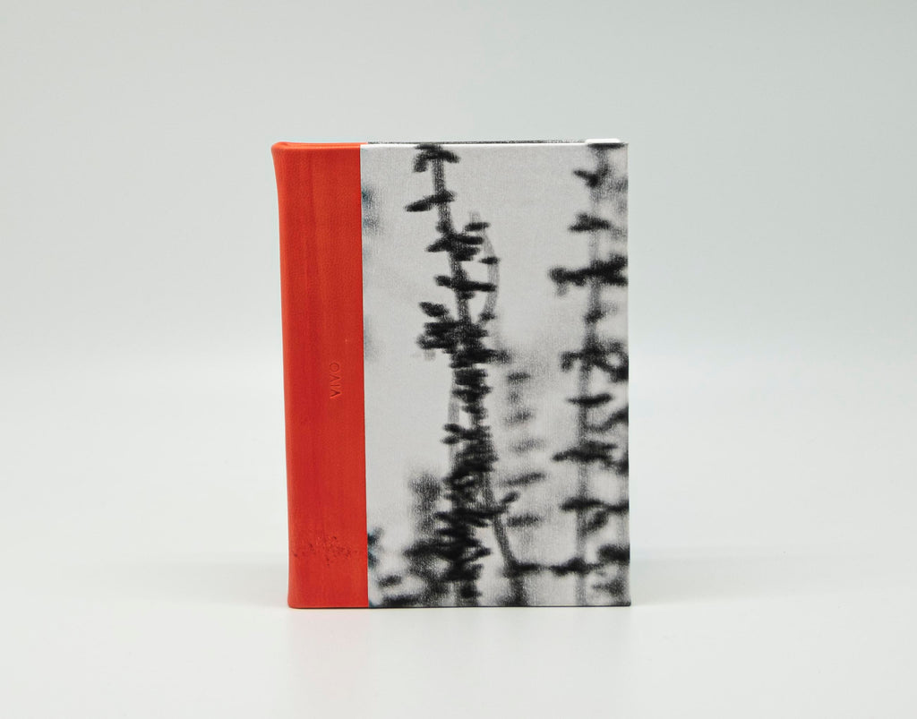 CADERNO SONORO