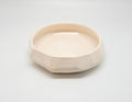 SILEX DISH